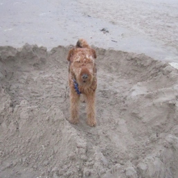 Euh, mum, think it's a bit sandy here...