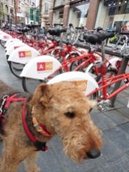 City bikes... I don't do that, neither does mum